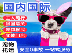 长水航空空运国际宠物托运 【国